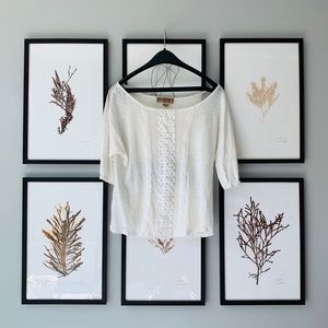 Anthropologie Twig & Perch Cream Short-Sleeve Top